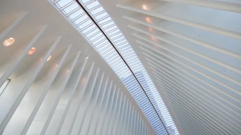 Clean futuristic structure ceiling of a museum with natural light Stock Footage 136214435