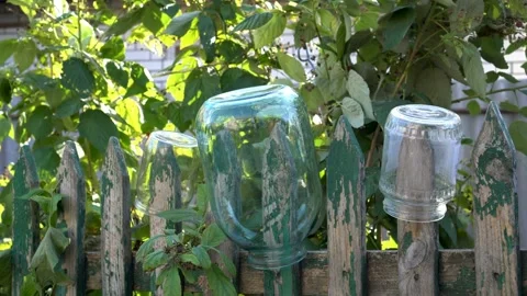 Clean glass jars are dried upside down on an old wooden fence on a sunny day. 스톡 동영상 114829072