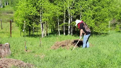 Clean the grass with a rake Stock Footage 80247883