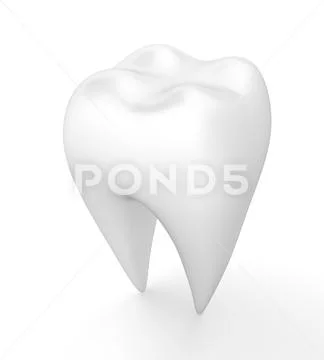 Clean human tooth. Stock Illustration