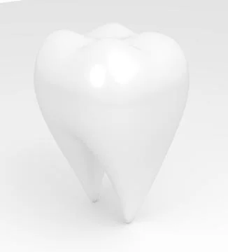 Clean human tooth. Stock Illustration