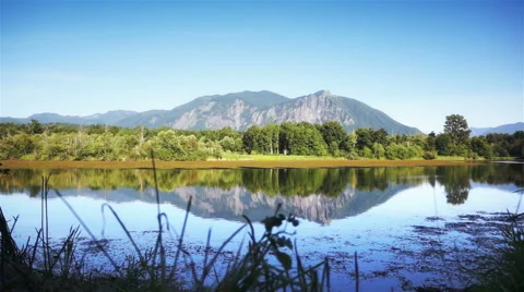 Clean lake view Stock Footage 43061371