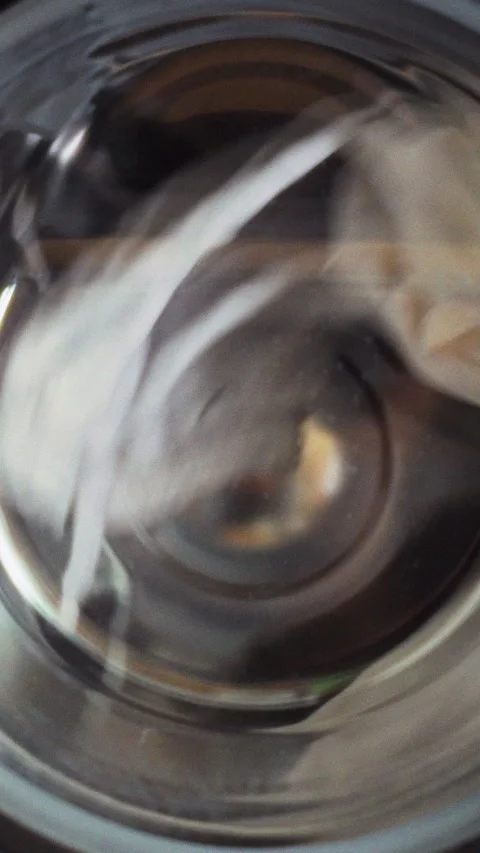 Clean laundry is visible through transparent window as a front-loading washi Stock Footage 342718645