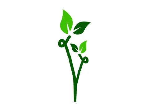 Clean Leaf Vector For Sustainable Stock Illustration