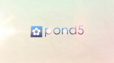 Clean Logo Stock After Effects