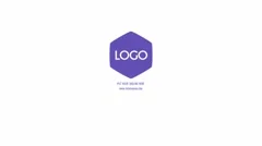 Clean Logo Reveal Stock After Effects