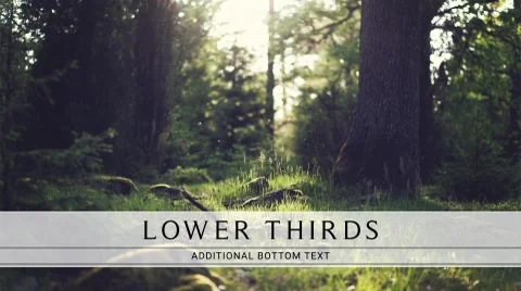 Clean Lower Third Stock After Effects