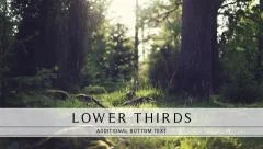 Clean Lower Third Stock After Effects