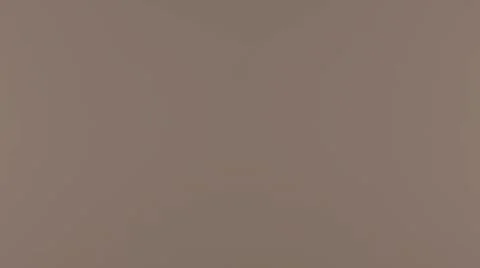 Clean metal Brass surface texture 스톡 일러스트