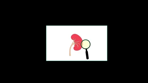Clean minimalist white rectangular frame with cyan border isolated on black.. 動画素材 334612600