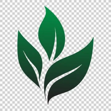 Clean, modern leaf design. 스톡 일러스트