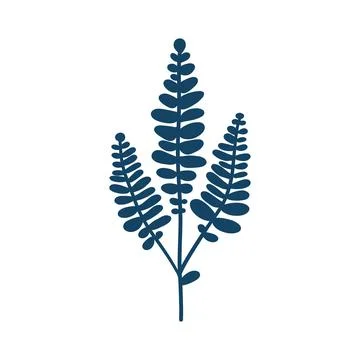 A clean, modern vector of fern leaves. Botanical illustration for eco-friendly Stock Illustration