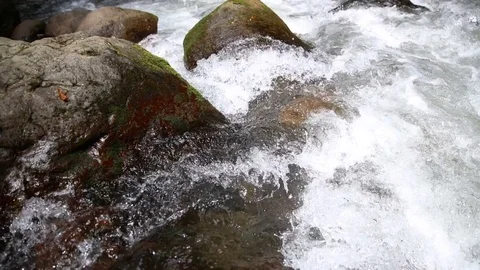 Clean mountain rive over stones and  fallen tree 스톡 동영상 80901208