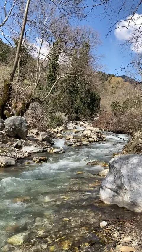 Clean mountain river flows through the stones. Stock Footage 203886861