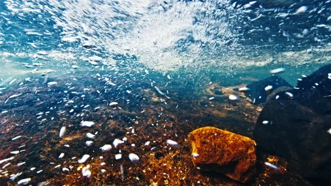Clean mountain river. Underwater view of the rapid clean river with rocky bottom Stock Footage 204863073