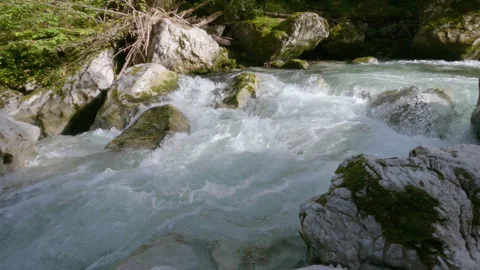 Clean mountain river water flowing around rocks in a peaceful forest in Germany Stock Footage 161550541