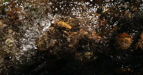 Clean mountain stream with crystal clear water and granite bottom Vídeos de archivo 335720304