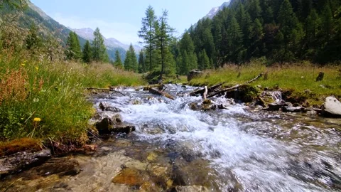 Clean mountain stream flowing through Austrian alps Stock Footage 158622904