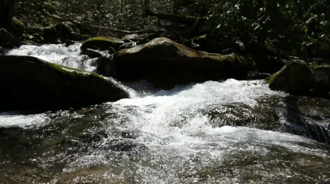 Clean Mountain Water 스톡 동영상 671189