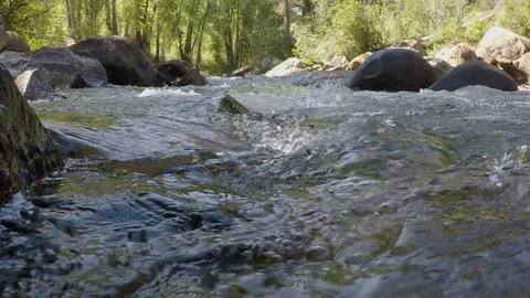 Clean mountain water runs down small mountain river over rocks and boulders Stock Footage 99671682
