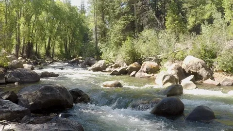 Clean mountain water runs down small mountain river over rocks and boulders Stock Footage 99671685
