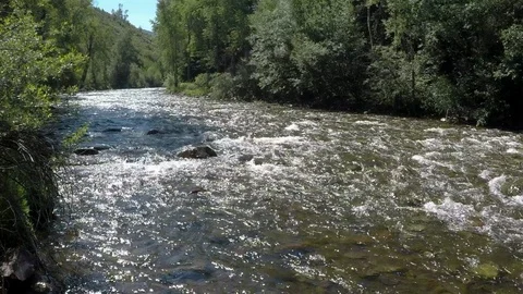 Clean mountain water runs down small mountain river over rocks and boulders Stock Footage 99677152