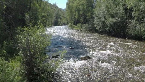 Clean mountain water runs down small mountain river over rocks and boulders Stock Footage 99682072