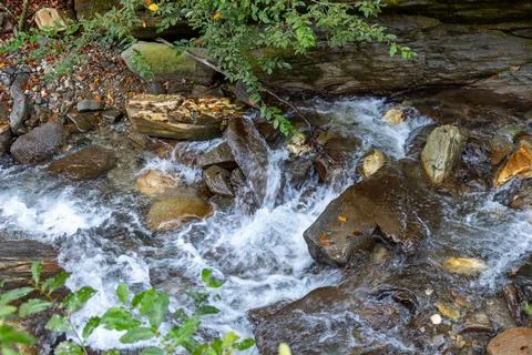 Clean mountain water stream somewhere in Transylvania, Romania Stock Photos