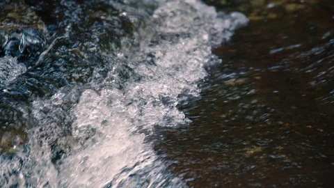 Clean mountain water stream in the upper Otways, Victoria, Australia. Stock Footage 86941602