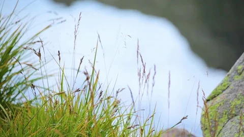 Clean Mountain watering. Environmentally Friendly Nature Of Mountains Stock-Footage 87477943