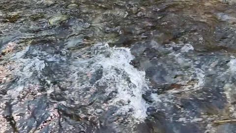 Clean natural environment Stock Footage 264035824