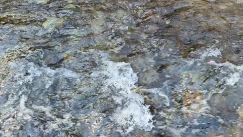 Clean natural environment Stock Footage 264035825