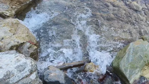 Clean natural environment Stock Footage 264635226