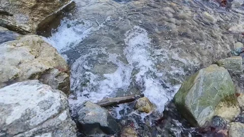 Clean natural environment Stock Footage 264635228