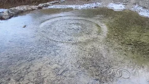 Clean natural environment Stock Footage 264635237