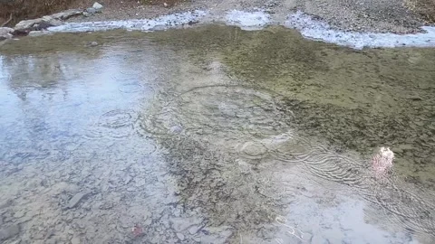 Clean natural environment Stock Footage 264635281