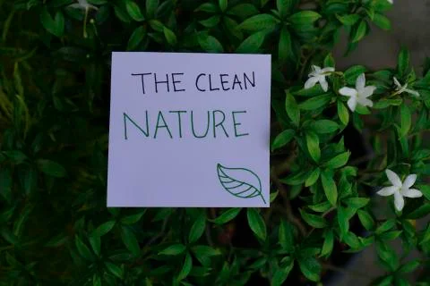 The Clean Nature concept. Ready Text for environment earth day concept Foto stock