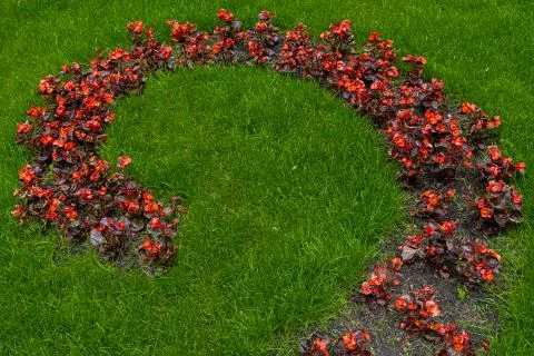 Clean nature landscape wallpaper pattern background garden scenic view of red Stock Photos