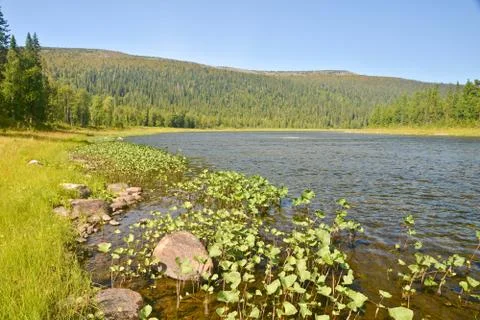 Clean the North river. Stock Photos