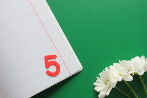 Clean notebook i and mark five in it. Three white chrysanthemums . Stock Photos