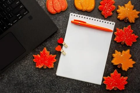 A clean notebook for notes next to a laptop and orange cookies 库存照片