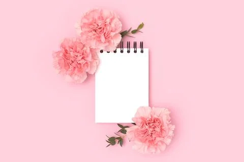 Clean notepad mock up, carnation flowers and green eucalyptus branches. Stock Photos