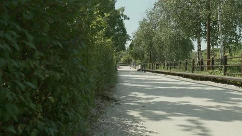 Clean path in the park with dense summer trees Stock Footage 113690438