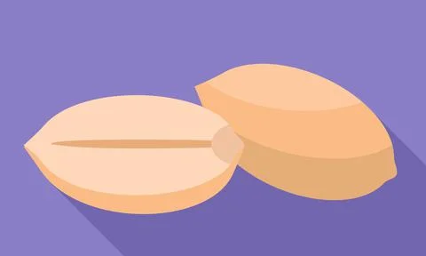 Clean peanuts icon, flat style Illustrazione stock