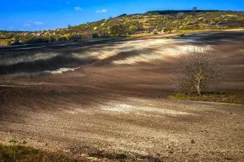 Clean plowed field Foto stock