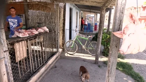 Clean pork Vídeos de archivo 113266749