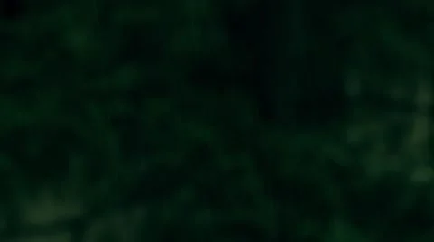 Clean Rain 動画素材 67257579