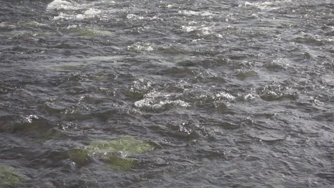Clean rapid river water flowing. Pure water bubbling, super slow motion Stock Footage 168582152