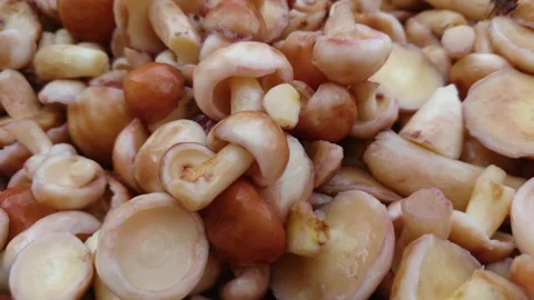 Clean raw mushrooms, soft focus background Stock Footage 159765001