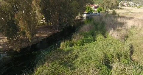 Clean River and Forest, Akyaka Turkey Stock Footage 74413463